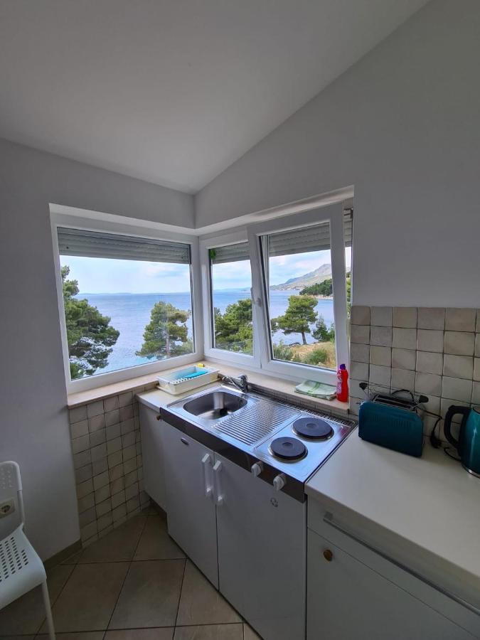 Oasis Of Peace Apartment オミシュ エクステリア 写真